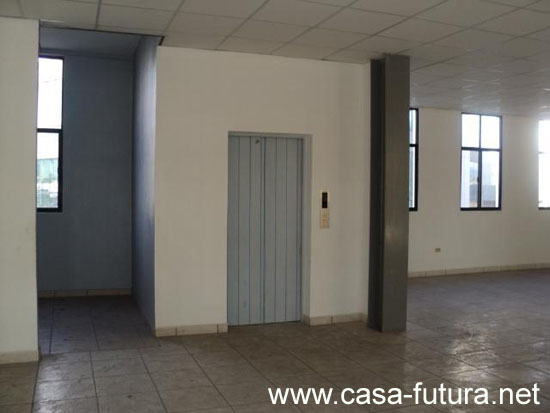 Edif (3)