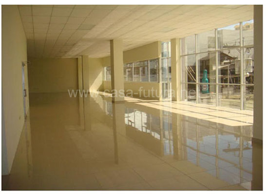 1 Interiores (4)